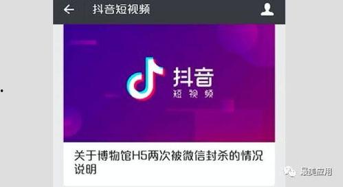 视频爆料 入口在哪里看,一探究竟,轻松获取最新资讯 第3张 视频爆料 入口在哪里看,一探究竟,轻松获取最新资讯 第3张